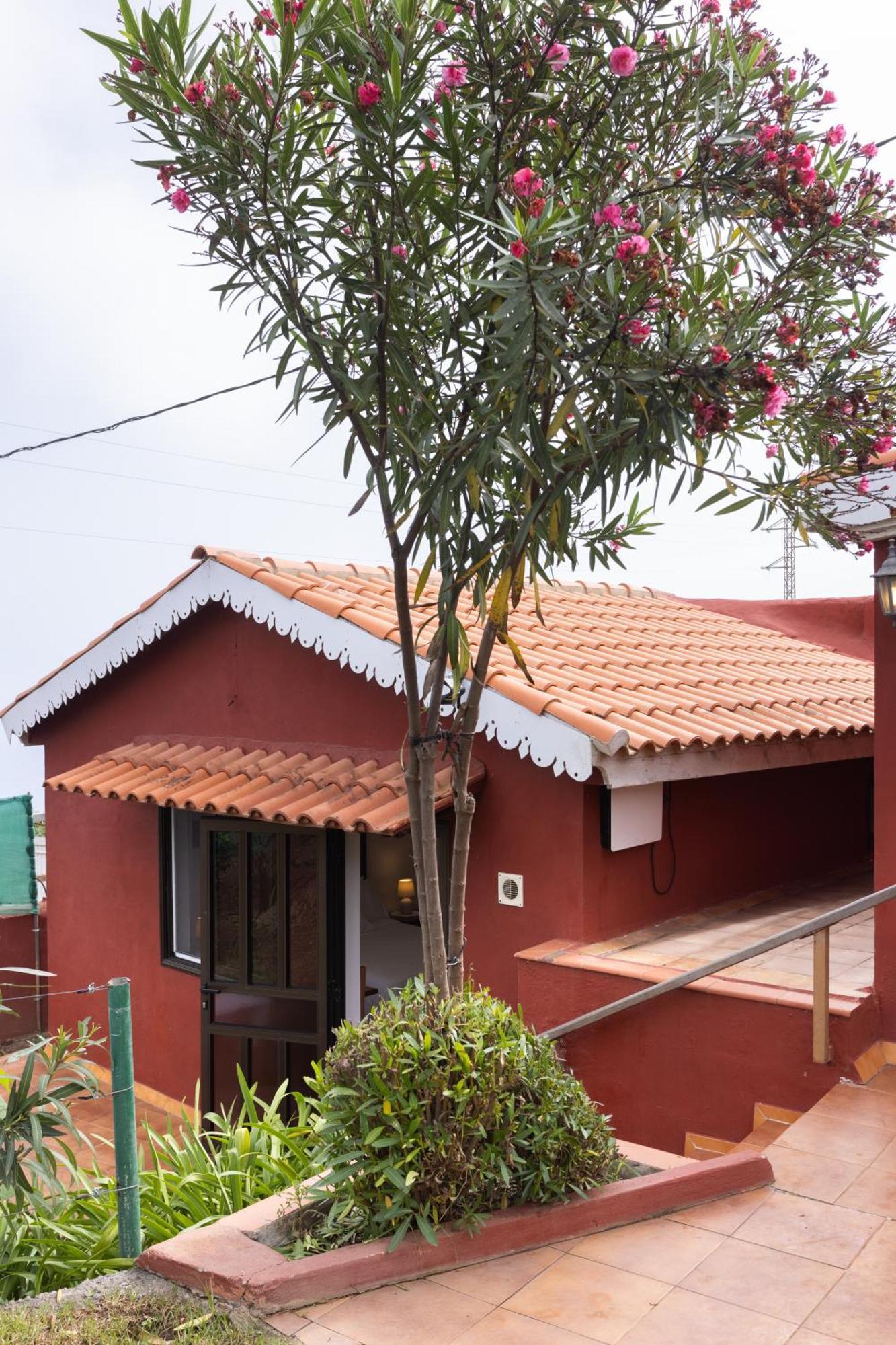 Home2Book Serene Retreat Isabel, Jacuzzi & Garden Icod el Alto Exteriör bild