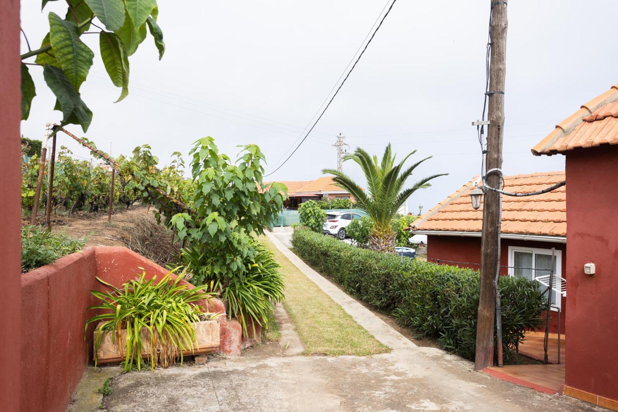 Home2Book Serene Retreat Isabel, Jacuzzi & Garden Icod el Alto Exteriör bild